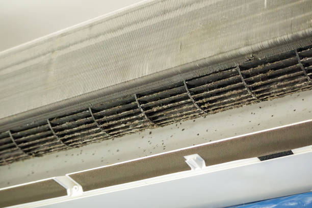 Best Dryer Vent Cleaning Services  in Rowlett, TX